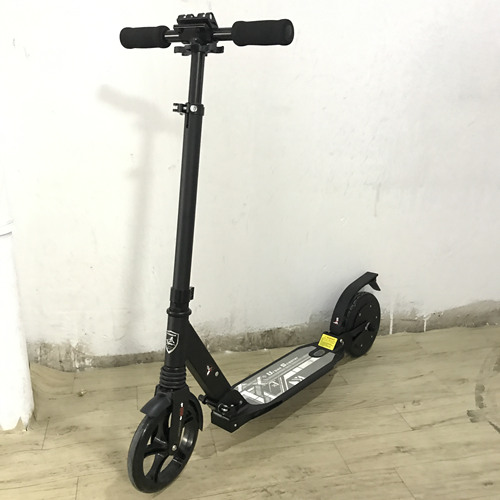 Annelawson adult scooter electric use