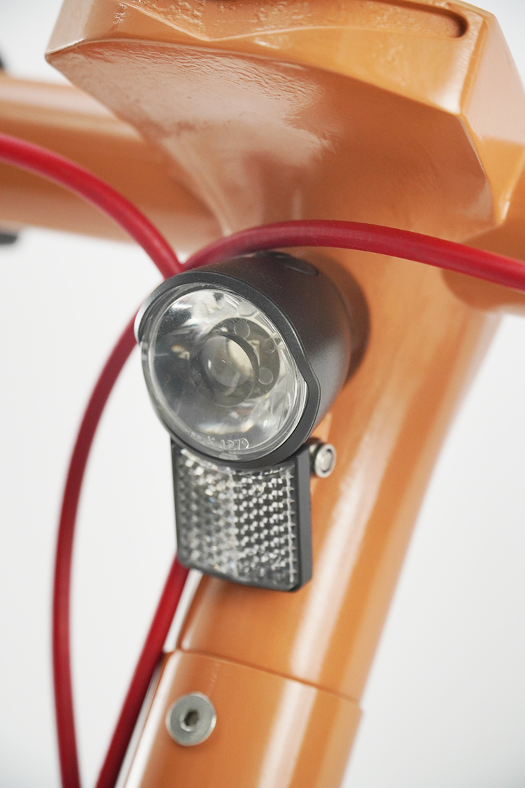 D10electric scooter 1