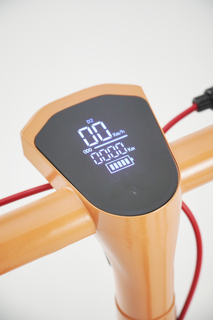 D10electric scooter 2