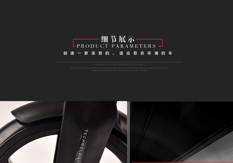 China Adults Scooter A5-S 3