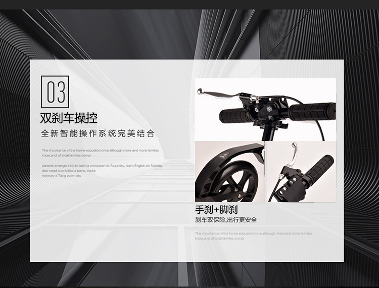 China Adults Scooter A5-S 6