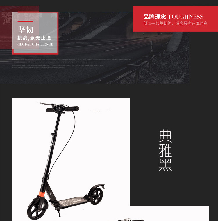 China Adults Scooter A5-S 12