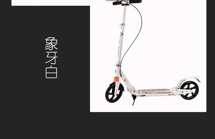 China Adults Scooter A5-S 13