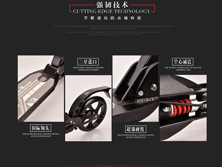 China Adults Scooter A5-S 14