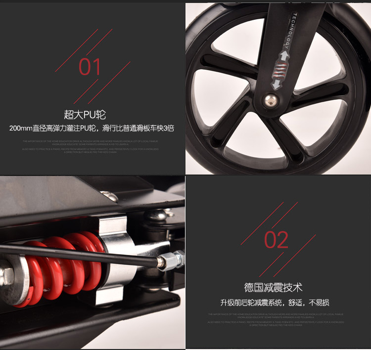 China Adults Scooter A5-S 15