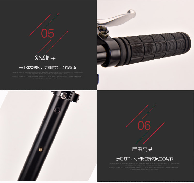 China Adults Scooter A5-S 17