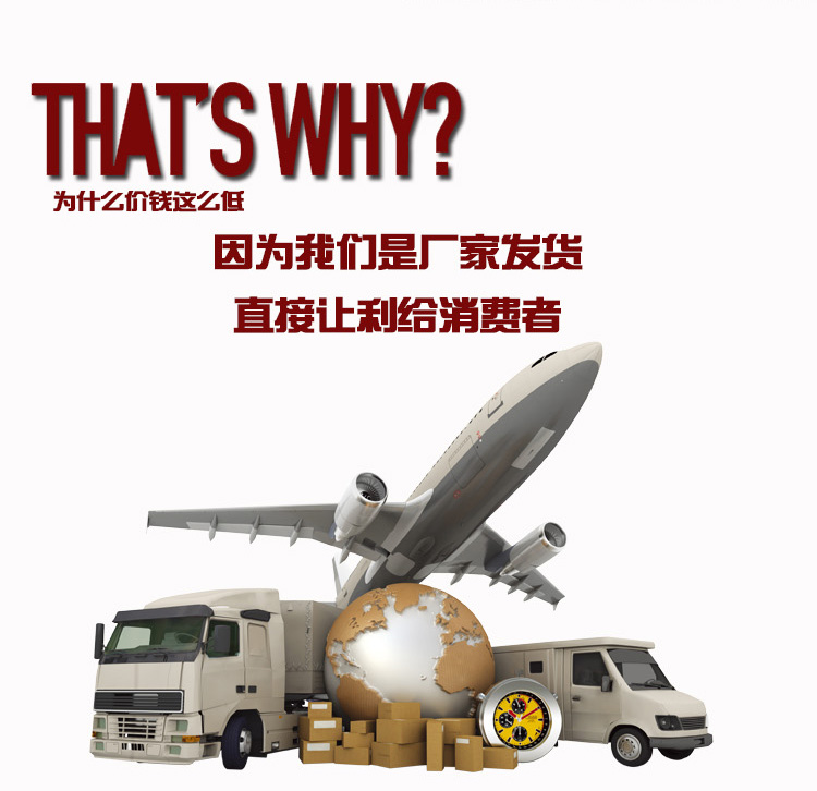 China Adults Scooter A5-S 18