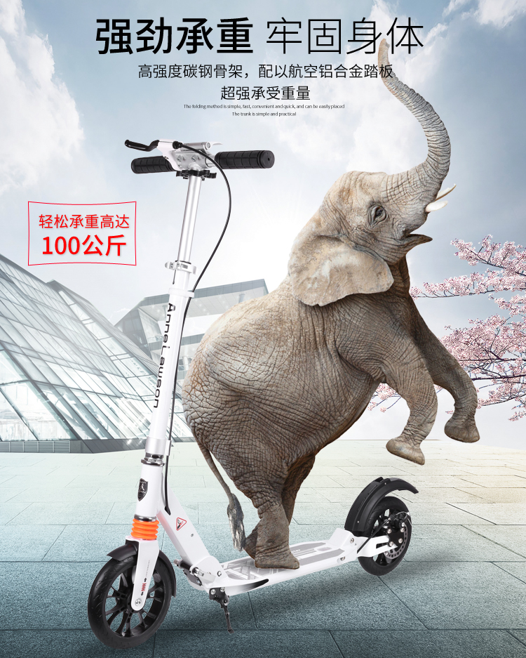 Adults Scooter A5-D ( Disc brake Style ) 11