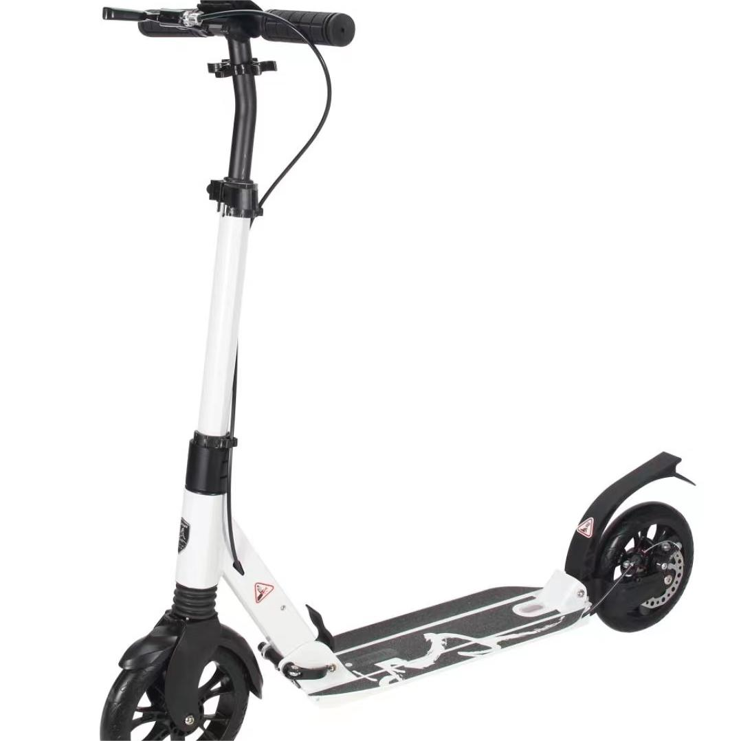 A6D double brake scooter